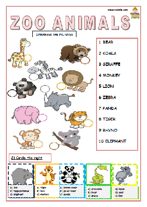 ANIMALS 30-1.pdf