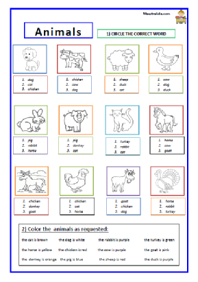 animal multiple choice by me.pdf