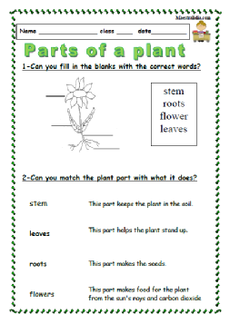 plants 1-4.pdf