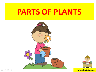 plants 3-4.ppsx